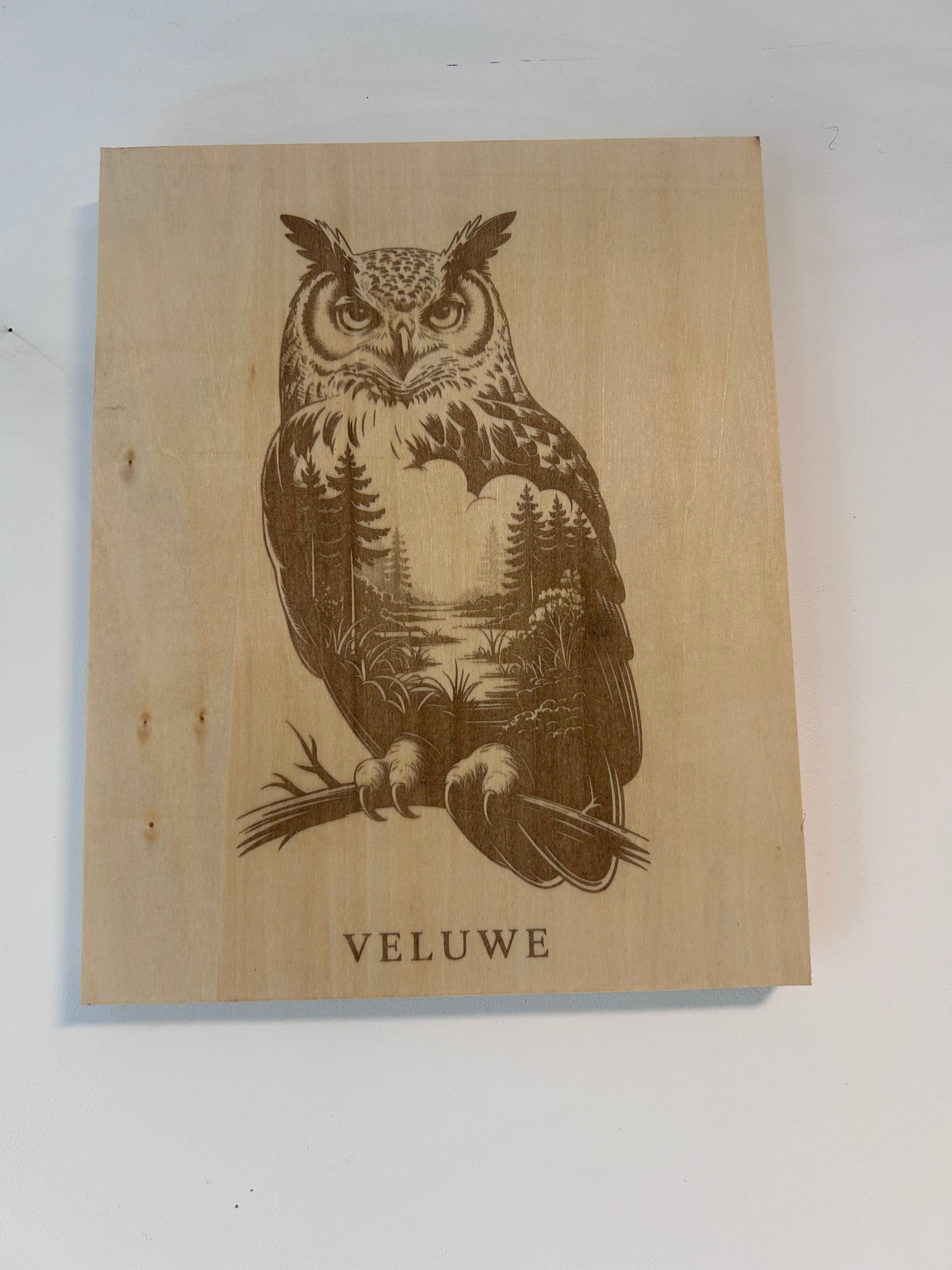 Muurdecoratie uil veluwe series