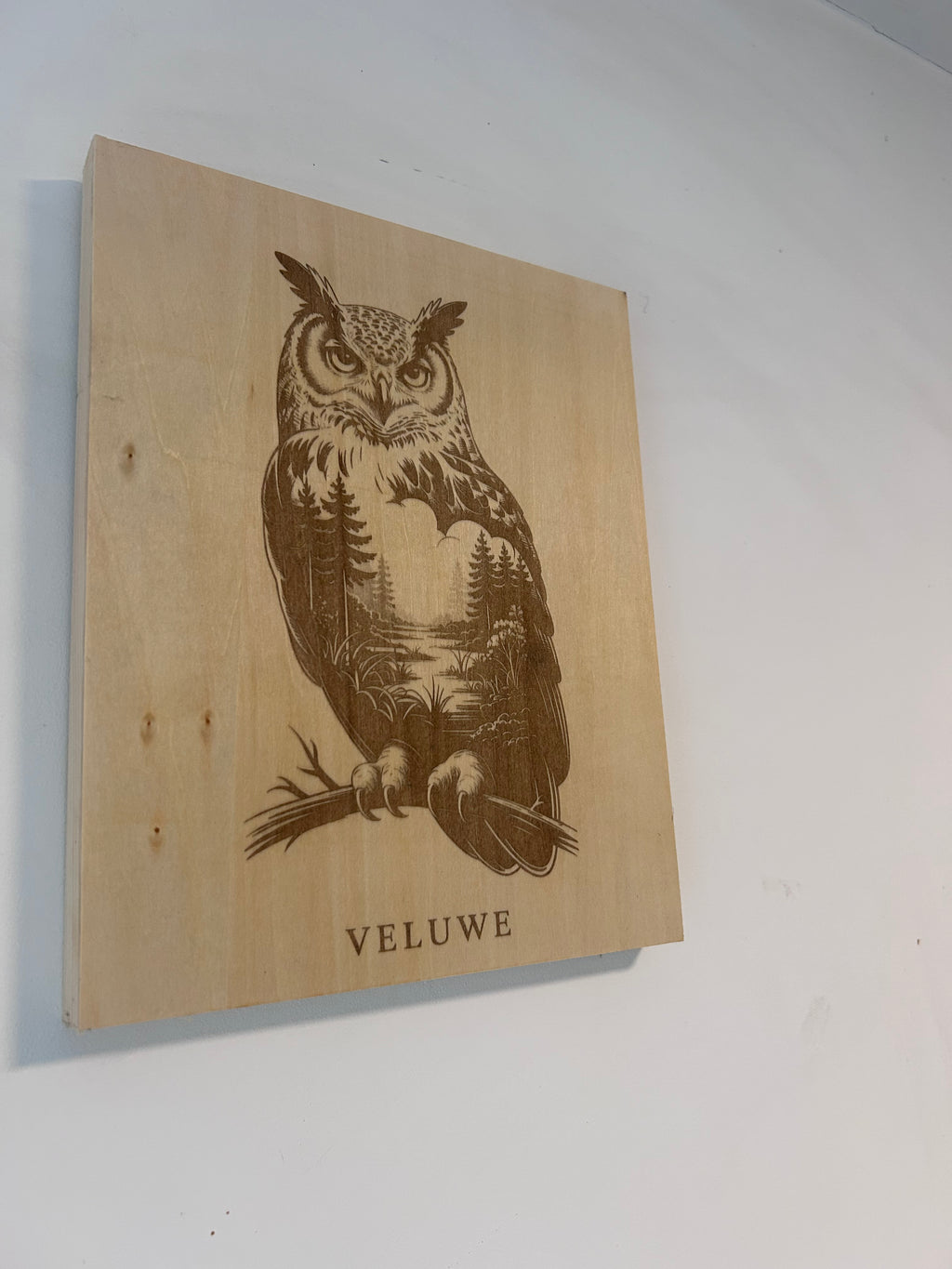 Muurdecoratie uil veluwe series
