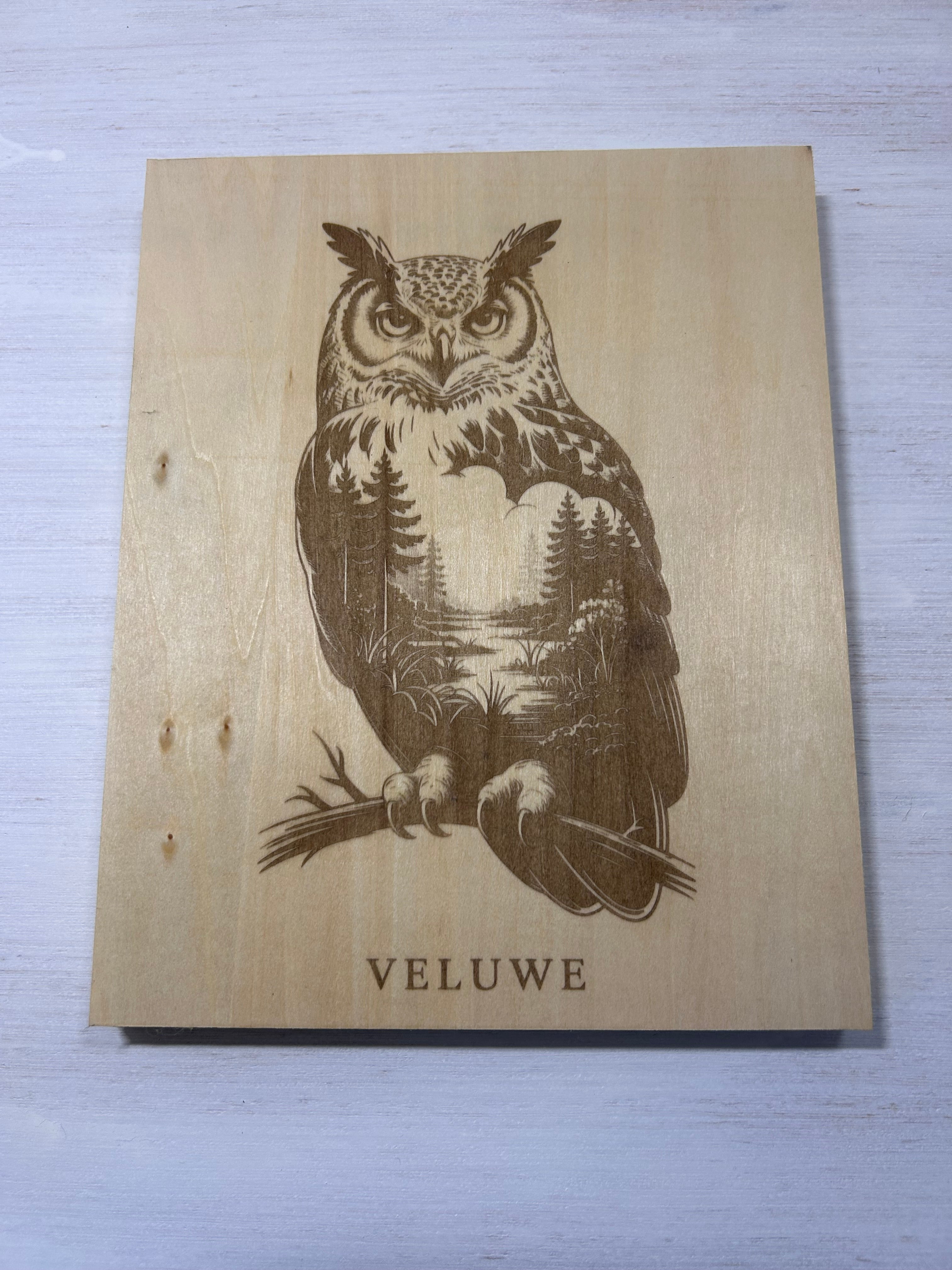 Muurdecoratie uil veluwe series