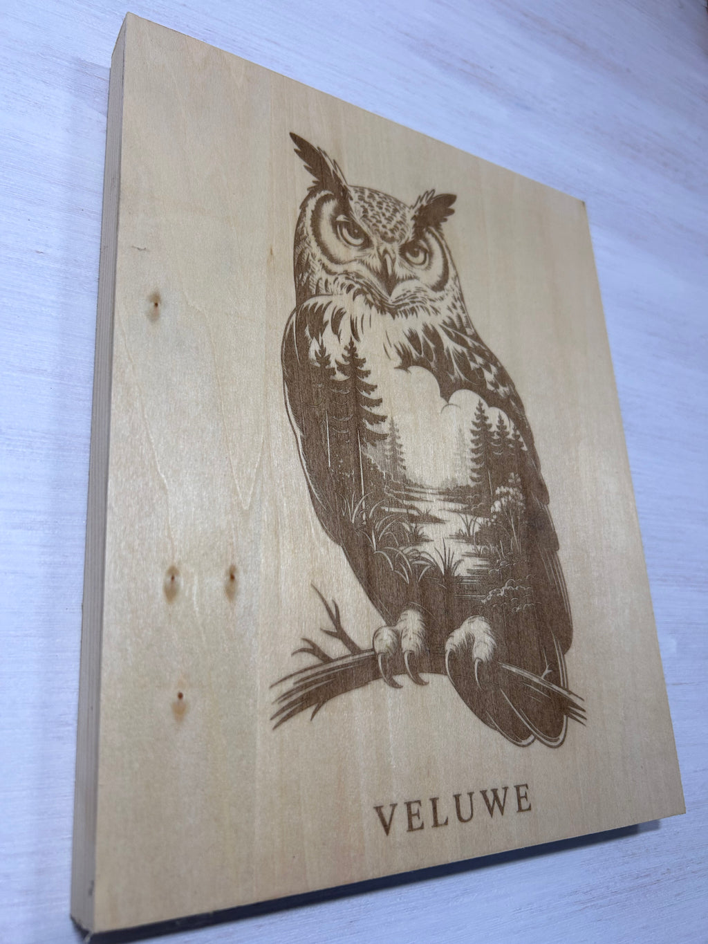 Muurdecoratie uil veluwe series