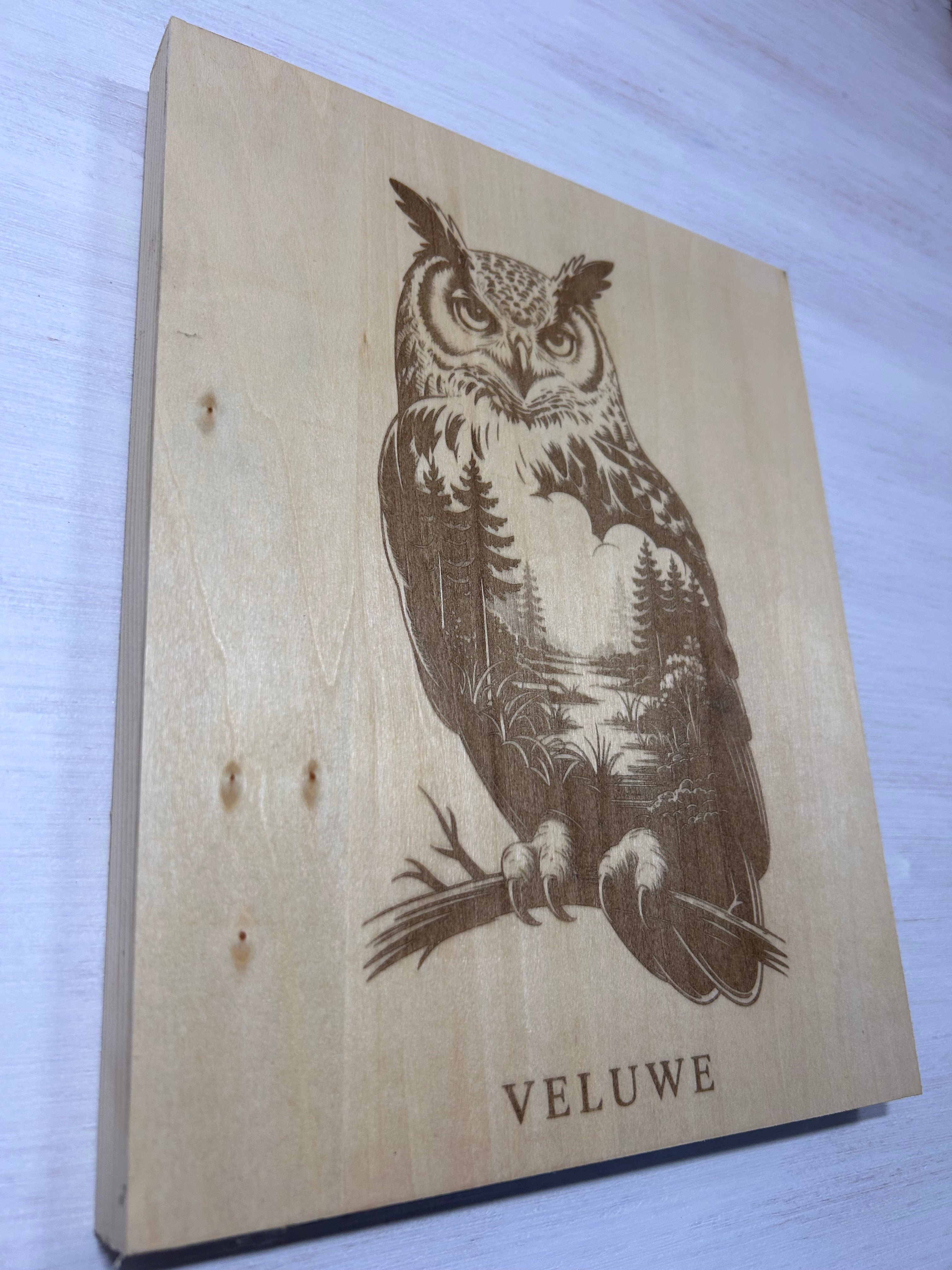 Muurdecoratie uil veluwe series