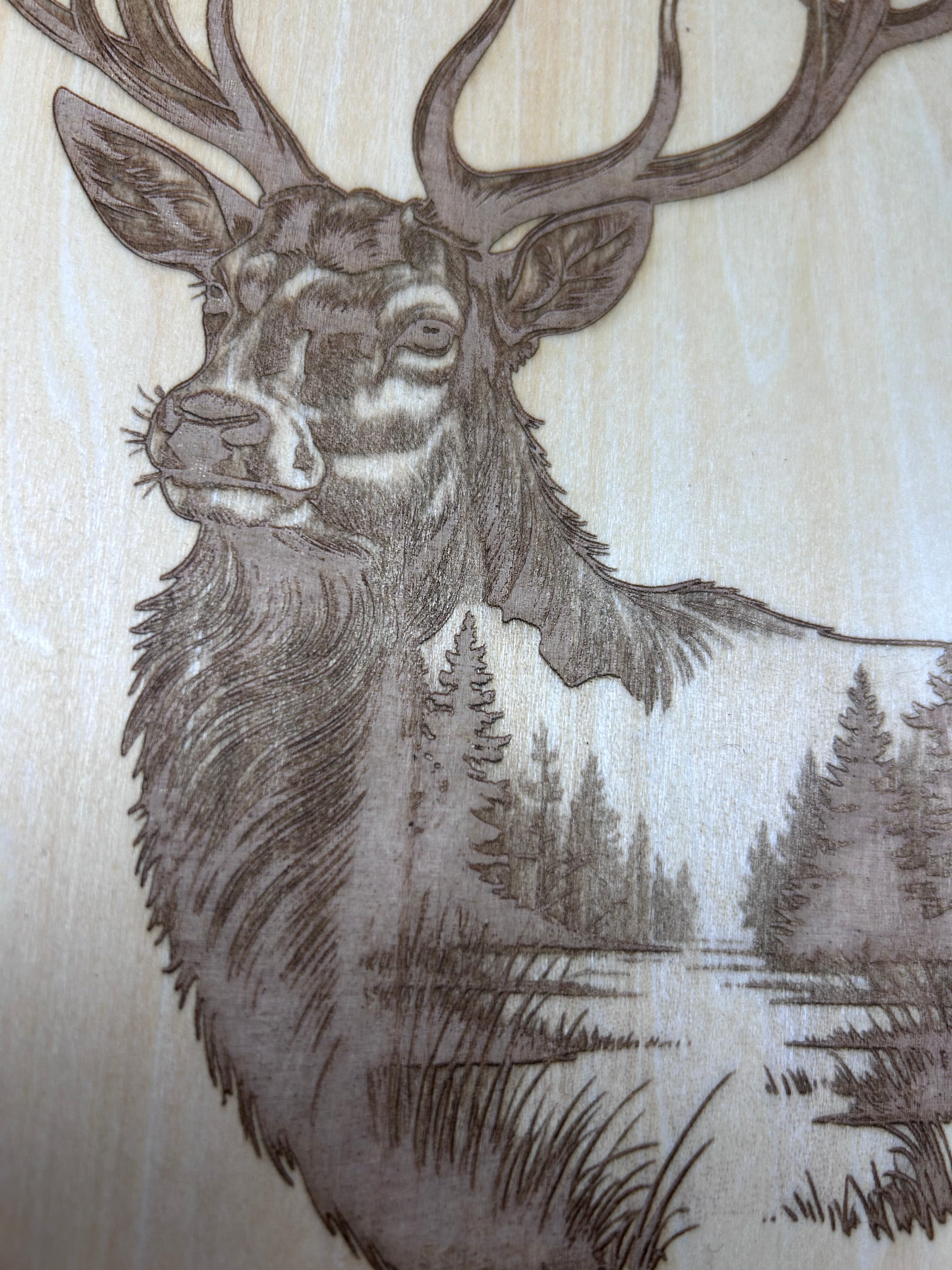 Muurdecoratie hert veluwe series