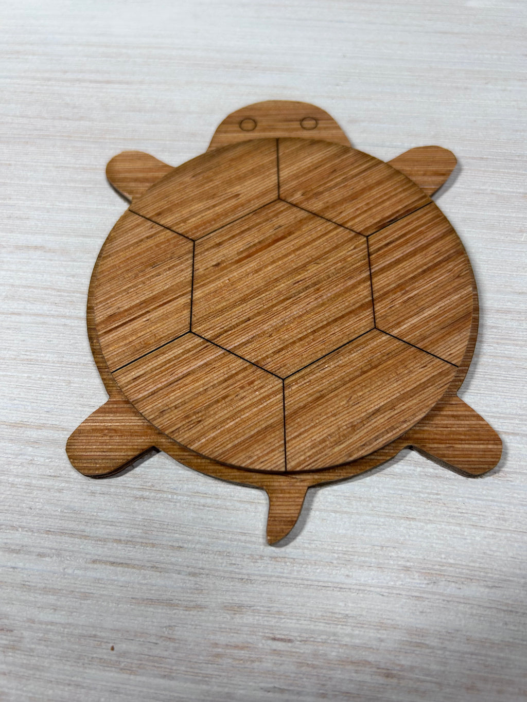 Schildpad onderzetters (set van 4)