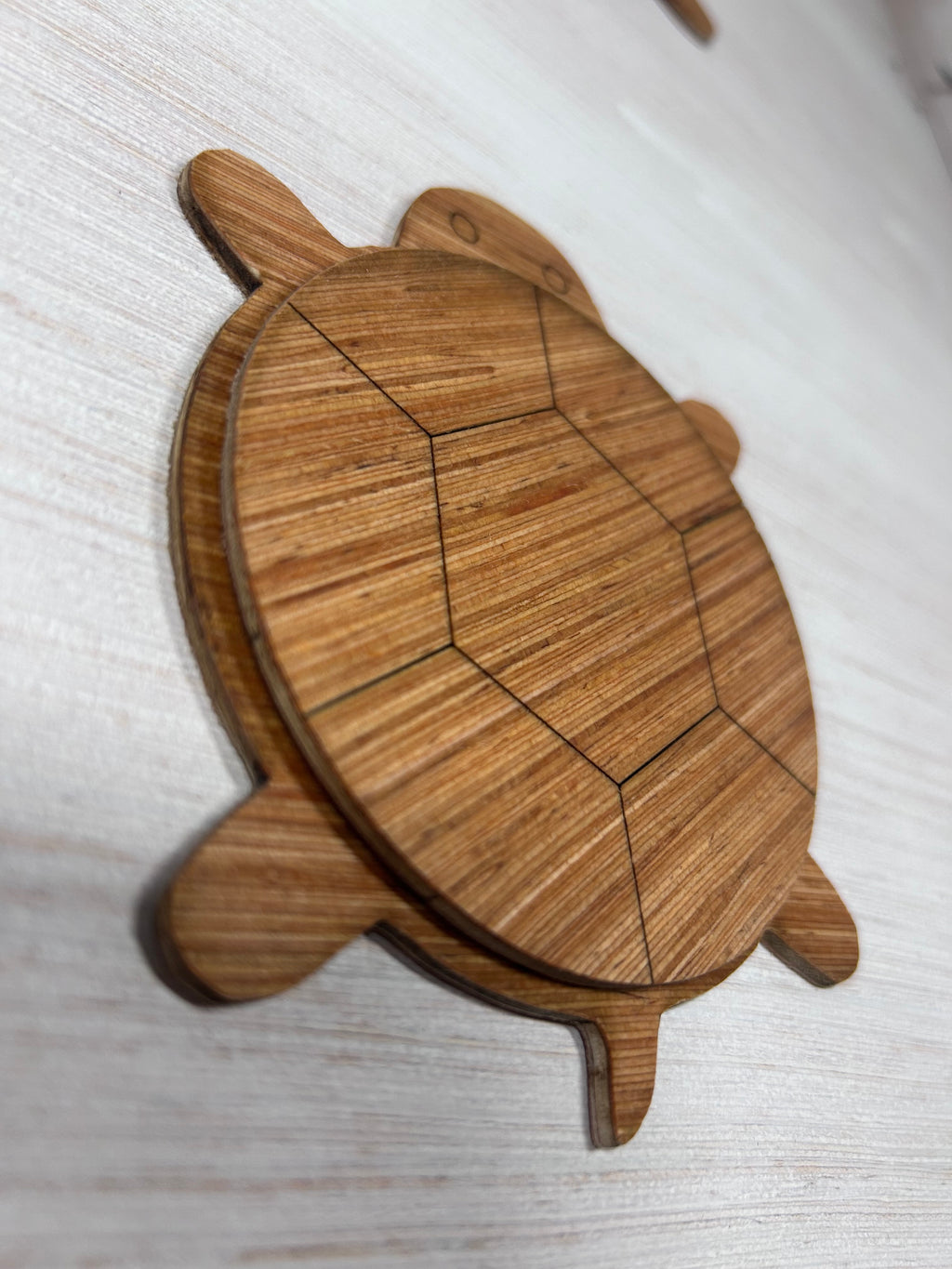 Schildpad onderzetters (set van 4)