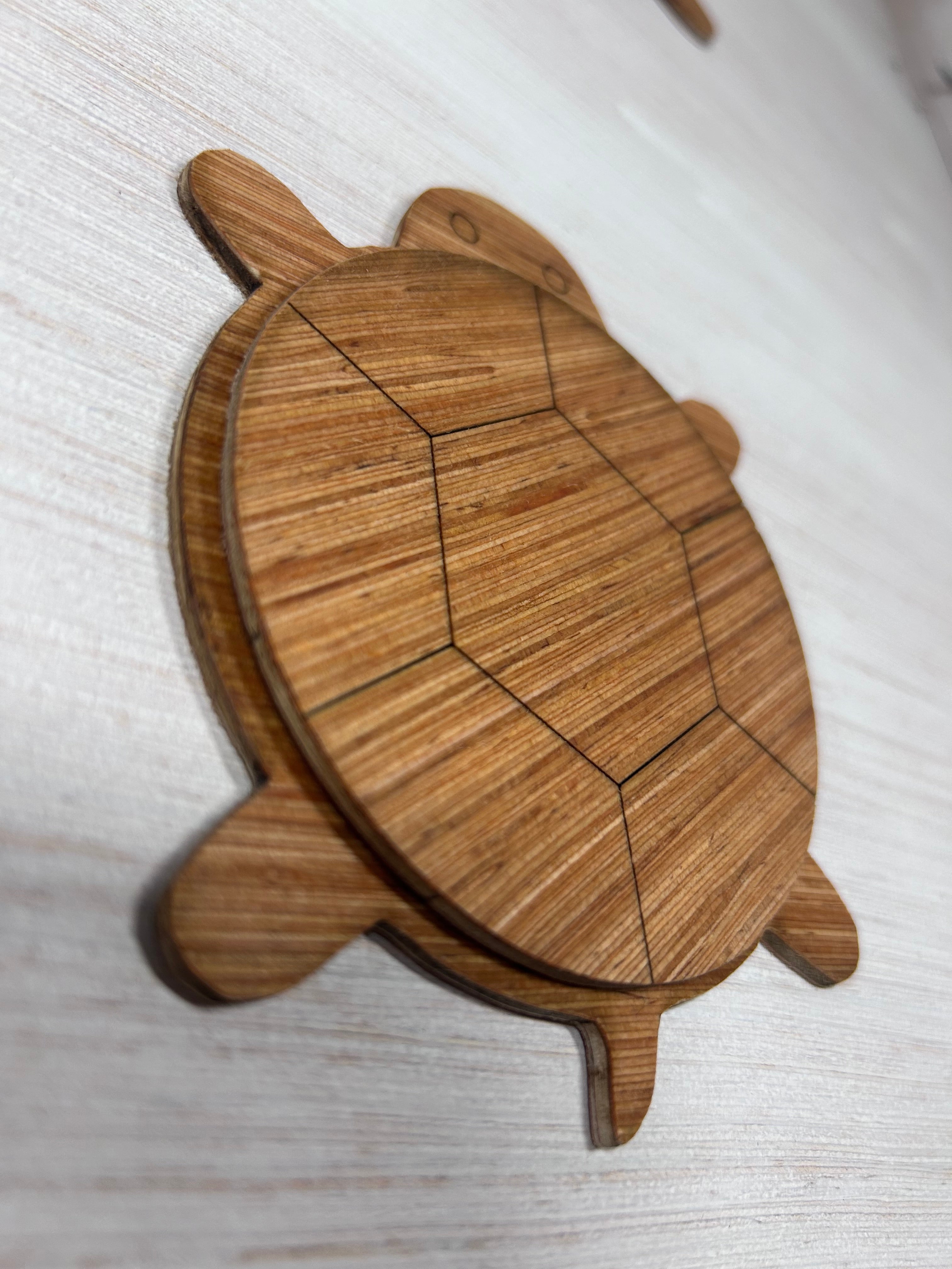Schildpad onderzetters (set van 4)